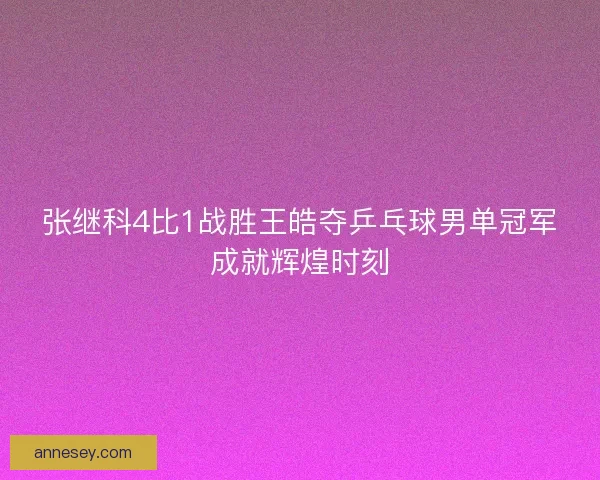 张继科4比1战胜王皓夺乒乓球男单冠军成就辉煌时刻