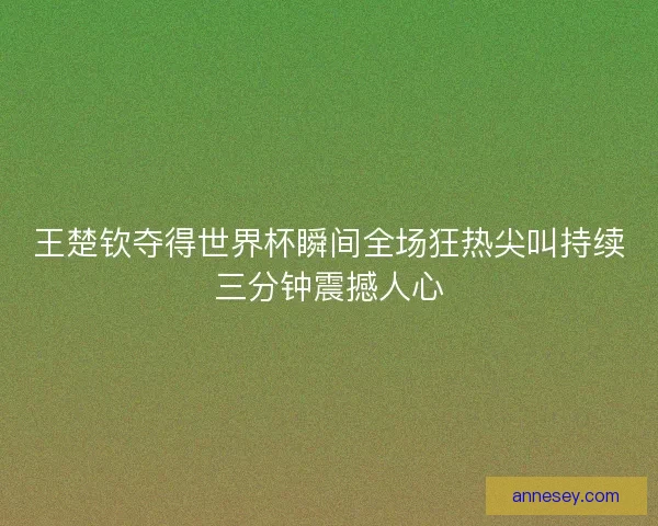 王楚钦夺得世界杯瞬间全场狂热尖叫持续三分钟震撼人心