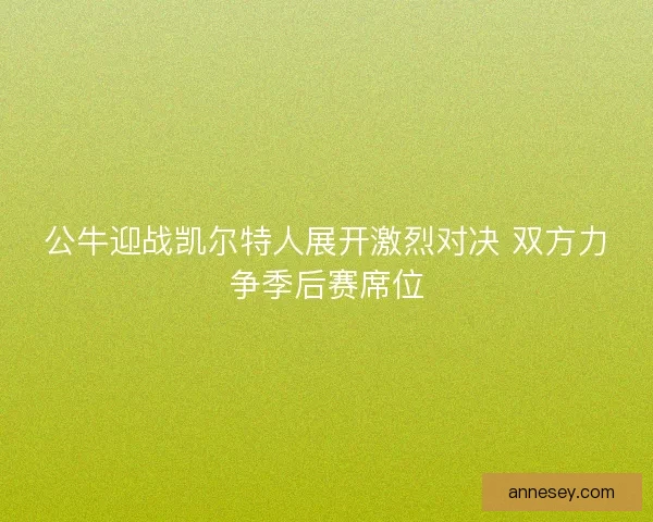 公牛迎战凯尔特人展开激烈对决 双方力争季后赛席位 公牛迎战凯尔特人展开激烈对决 双方力争季后赛席位